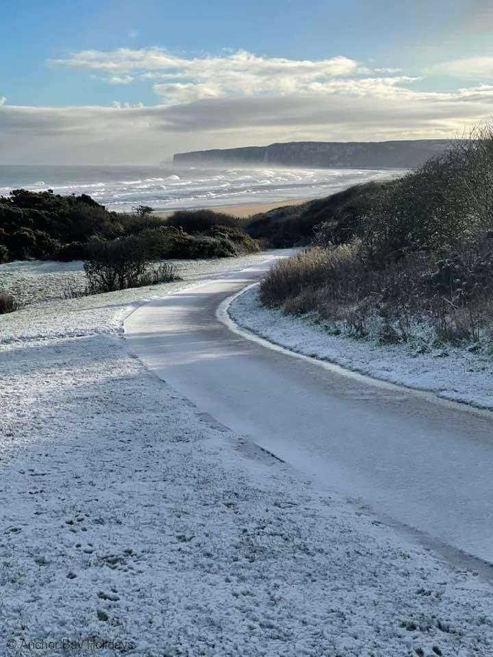 The Puffin Pad * Filey
